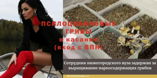 шишки Алексин
