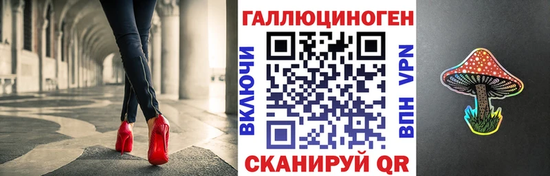 где купить   Енисейск  Галлюциногенные грибы Psilocybe 
